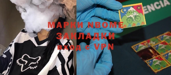 шишки Медногорск