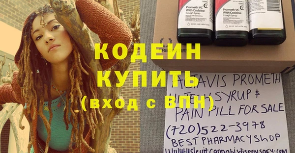 герыч Мегион