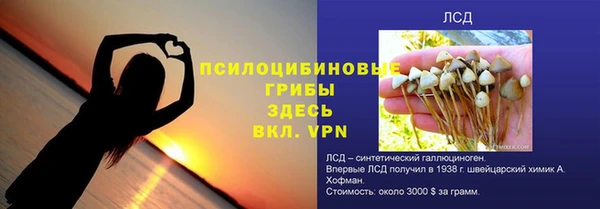 герыч Мегион