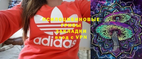 шишки Медногорск