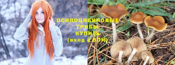 шишки Медногорск