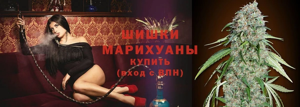 шишки Медногорск