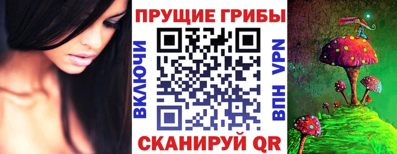 Галлюциногенные грибы мицелий мега сайт мориарти телеграм Тетюши